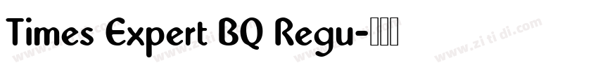 Times Expert BQ Regu字体转换 Times Expert BQ Regu字体转换